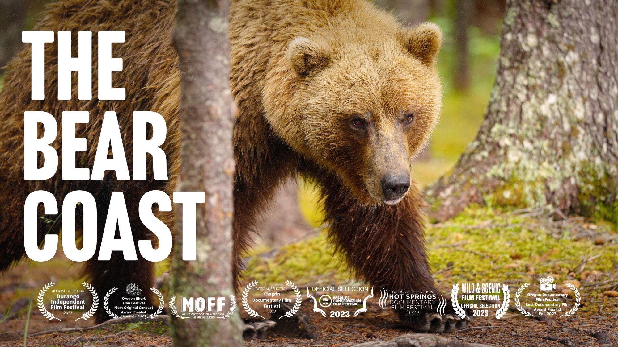 The Bear Coast film poster — a brown bear in the forest on Alaska's Bear Coast
