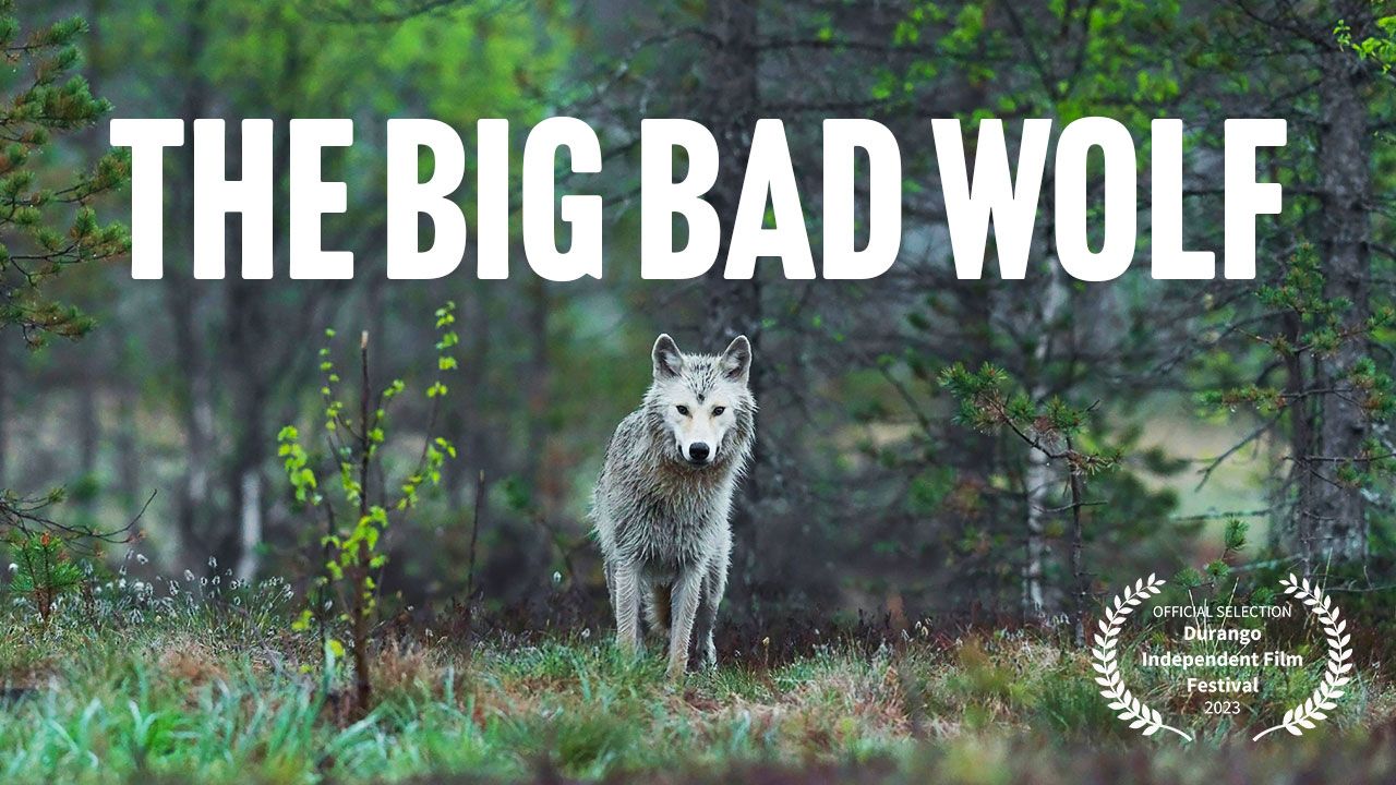 The Big Bad Wolf film poster — a grey wolf at the treeline
